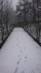 DSC_3631.jpg